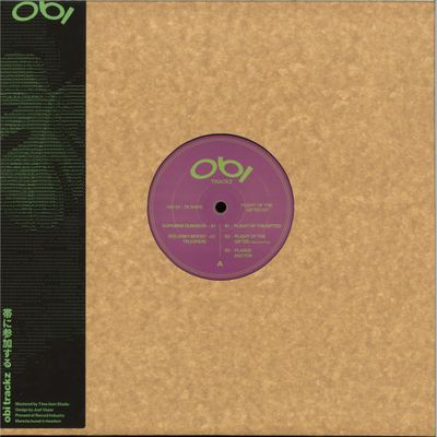 TB Shine — Plight Of The Gifted EP vinyl cover