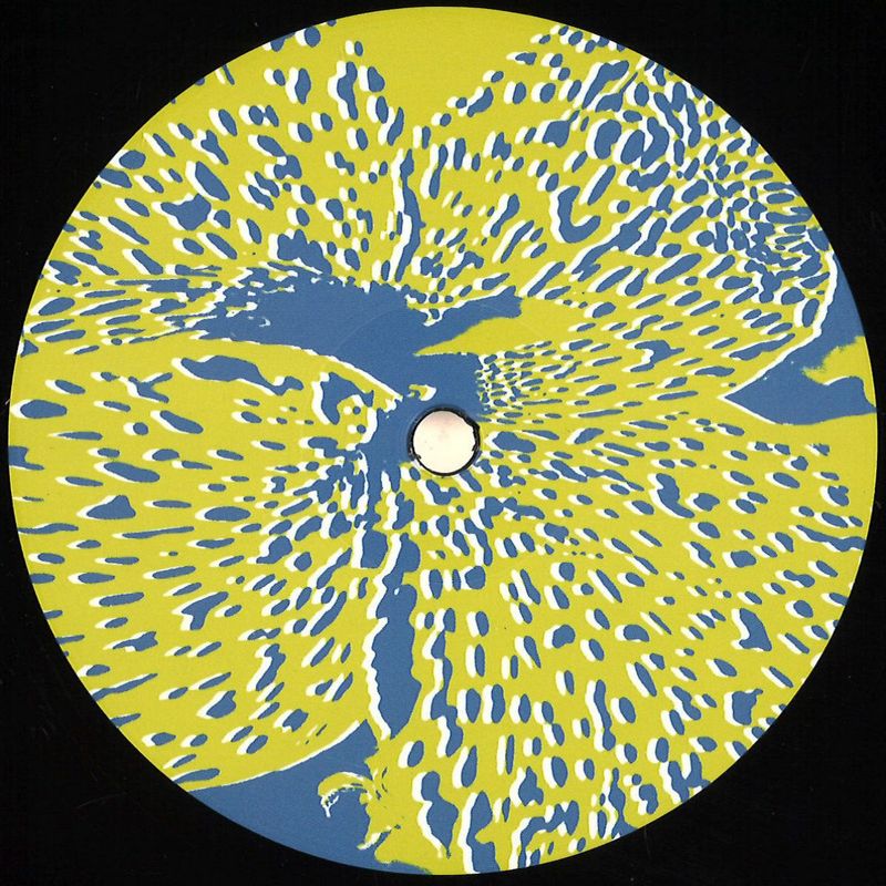 E.colaci, A.galasso — 20 Years Later vinyl cover