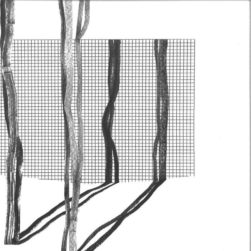 Various — Systema Naturae II vinyl cover