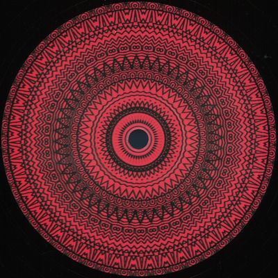 Unknown — Nanel008 vinyl cover