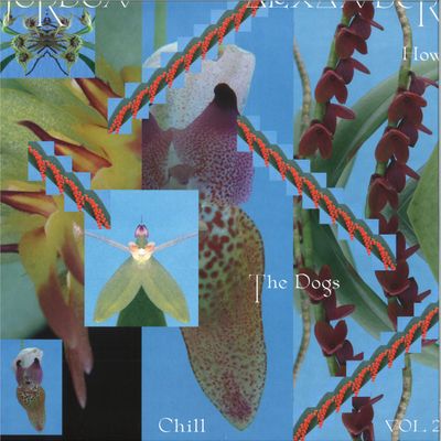 Jordon Alexander(Mall Grab) — How The Dogs Chill Vol. 2 vinyl cover