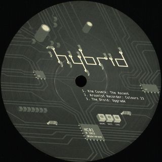 Hybrid Collective