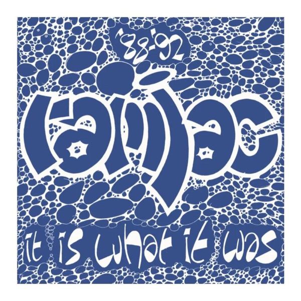 Ramjac Corporation — 88-92 IT IS WHAT IT WAS LP 2x12" vinyl cover
