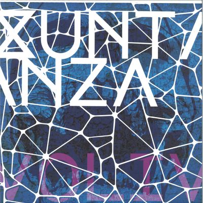 Various — Xuntanza Vol. IV vinyl cover