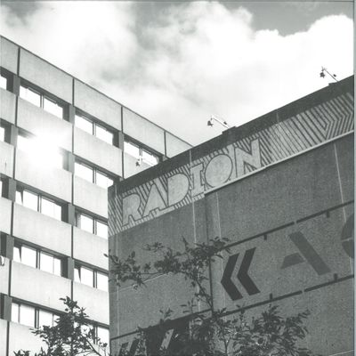 Various — RADION Decennial Revelry LP 2x12" vinyl cover
