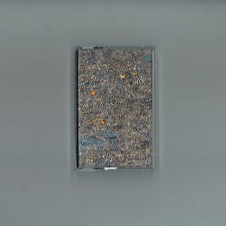 Gi