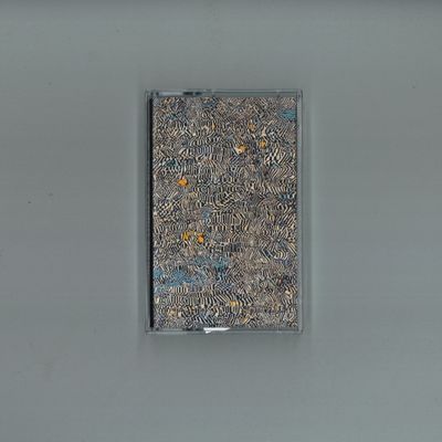 Gi — Live at Worm Turns (TAPE) vinyl cover