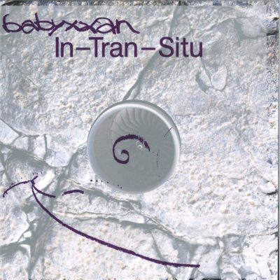Babyxxan — In- Tran - Situ LP vinyl cover