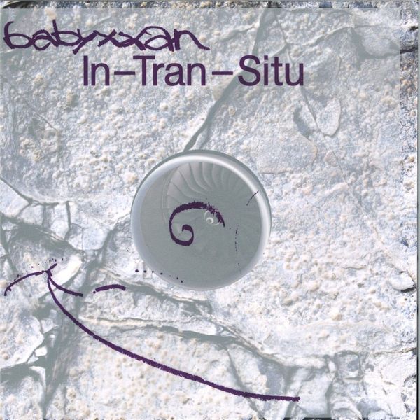 Babyxxan — In- Tran - Situ LP vinyl cover
