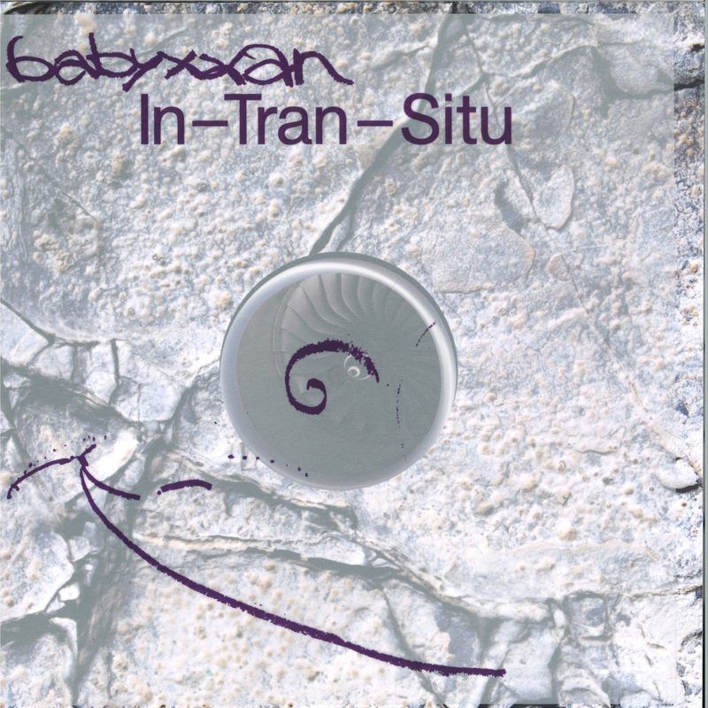 Babyxxan — In- Tran - Situ LP vinyl cover