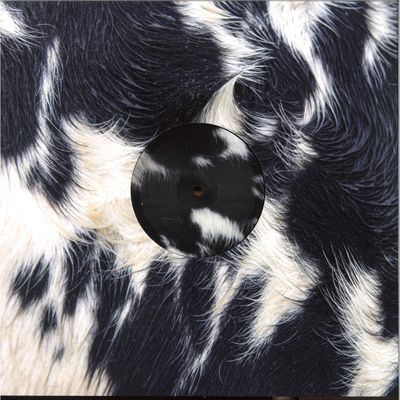 Blawan — DISTMANTLED INTO JUICE vinyl cover