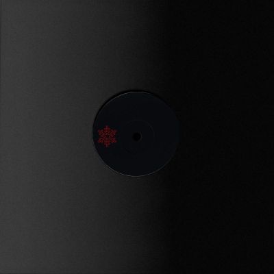 Broken Code, Patrice Meiner, Will Hofbauer — Papi Pt. II vinyl cover