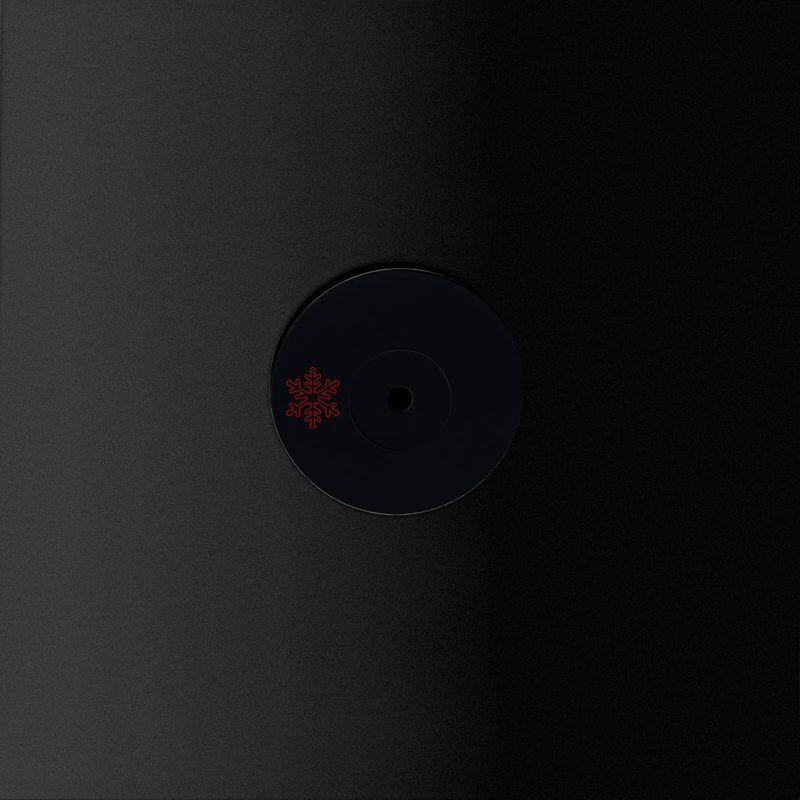 Broken Code, Patrice Meiner, Will Hofbauer — Papi Pt. II vinyl cover