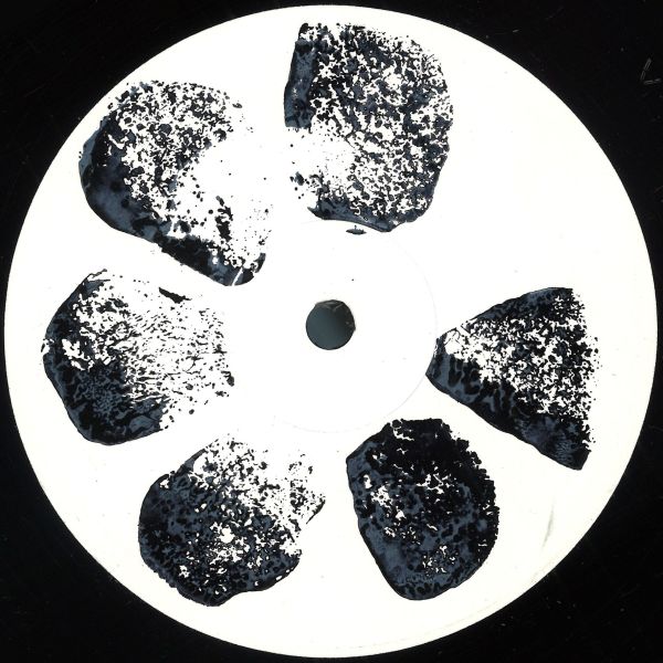 Dyslecta — Fulcrum vinyl cover