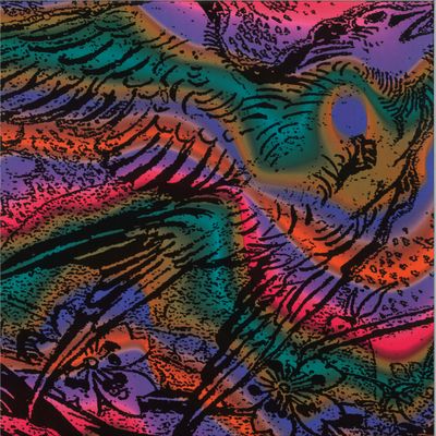 Various — One Swallow Doesn’t Make A Summer Part 6 vinyl cover