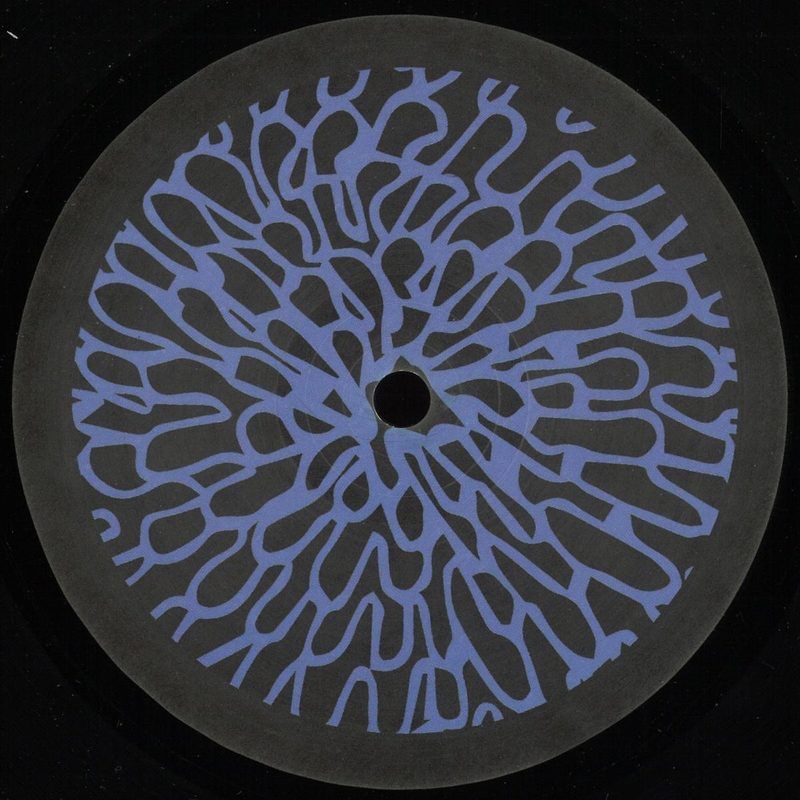 William Welt, Moodymanc — Ideal World ep vinyl cover