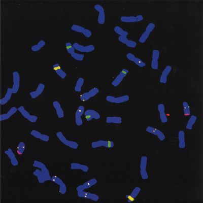 Tools 4 Seduction, Lachina — Jeh Noh Mix EP vinyl cover