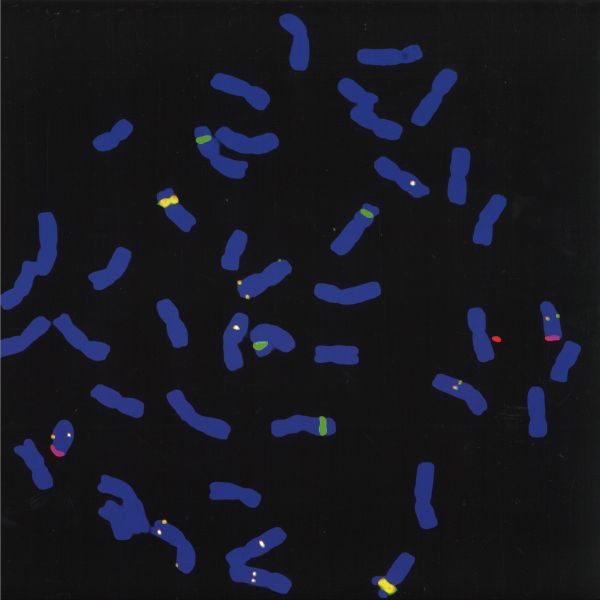 Tools 4 Seduction, Lachina — Jeh Noh Mix EP vinyl cover