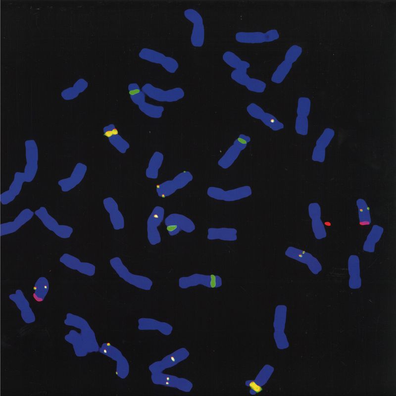 Tools 4 Seduction, Lachina — Jeh Noh Mix EP vinyl cover
