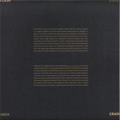 Various — Flash Crash / Hack Crash vinyl cover