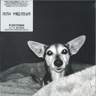 Funtown — NAD Version 2x12" vinyl cover