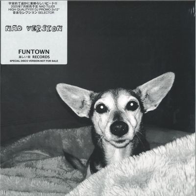 Funtown — NAD Version 2x12" vinyl cover