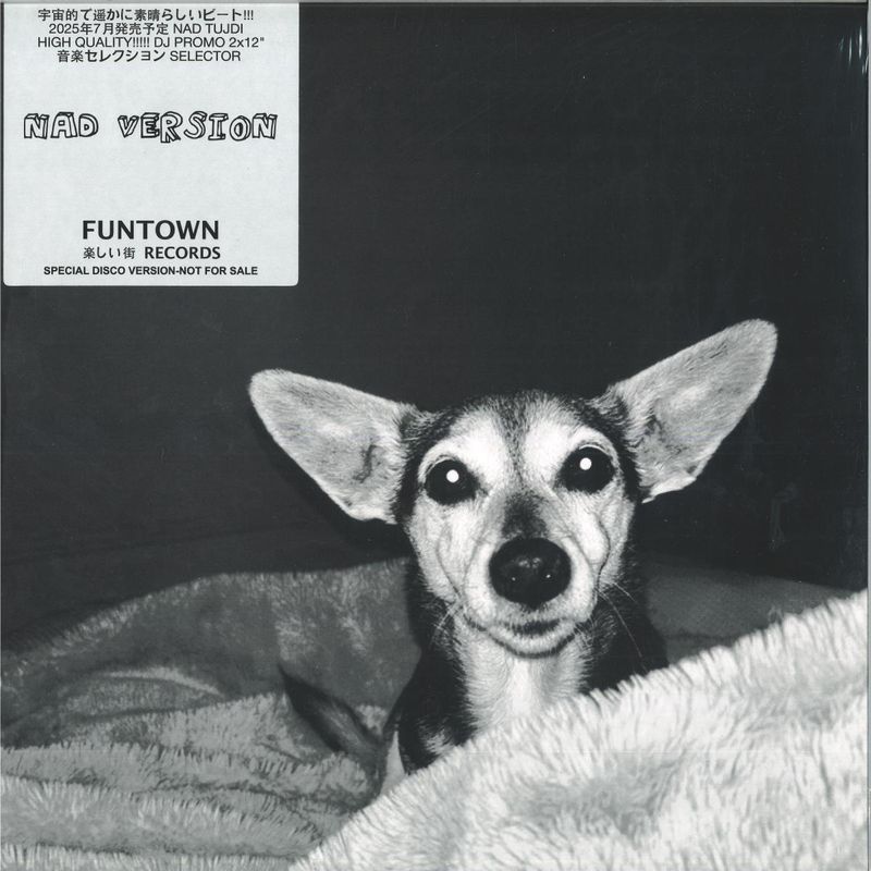 Funtown — NAD Version 2x12" vinyl cover