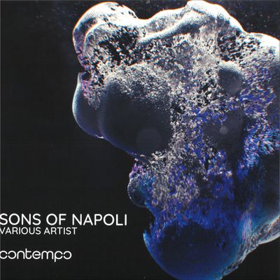 Various — Sons Of Napoli vinyl cover