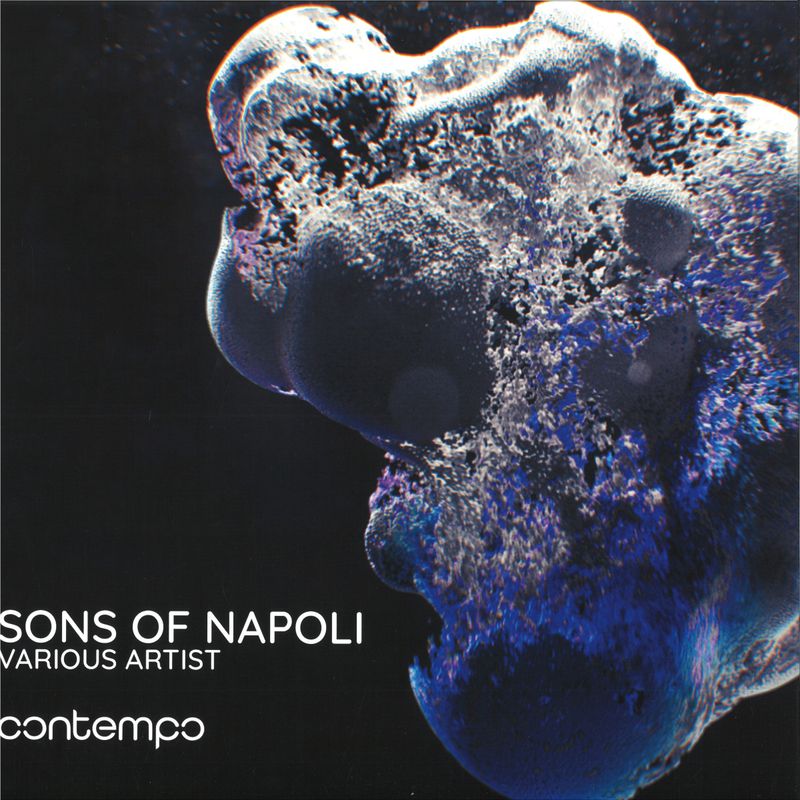 Various — Sons Of Napoli vinyl cover