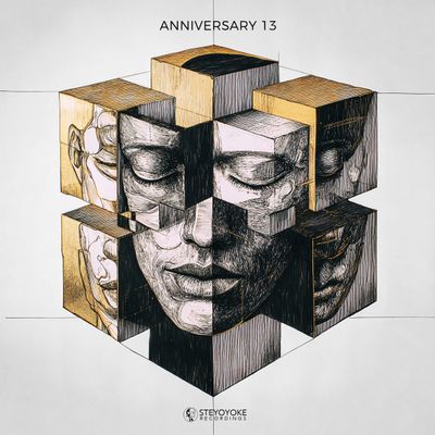 Various — SYYK270 2x12" vinyl cover
