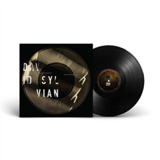 David Sylvian — THE DISTANCE BETWEEN THE KILLER AND THE KILLING vinyl cover