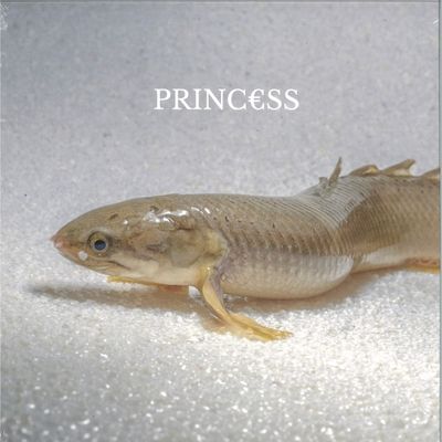 Princ€Ss — Princ€ss LP vinyl cover