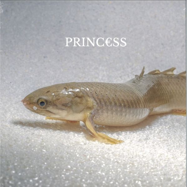 Princ€Ss — Princ€ss LP vinyl cover