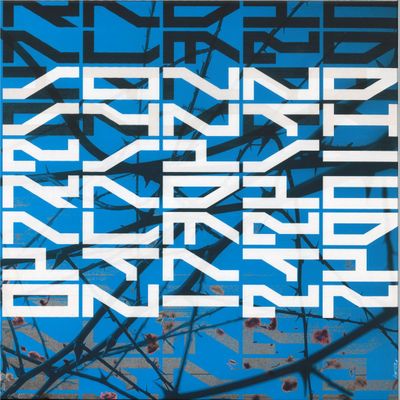 Sound Synthesis — Radical Meditation EP vinyl cover