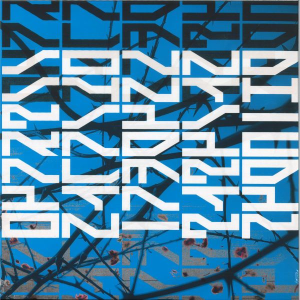 Sound Synthesis — Radical Meditation EP vinyl cover