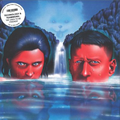 Technology, Teamwork — WE USED TO BE FRIENDS LP vinyl cover