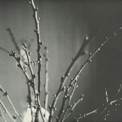 Knowone — KNWN4.5 vinyl cover