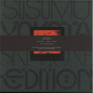 Susumu Yokota — The Boy And The Tree (Skintone Edition) LP 2x12" vinyl cover