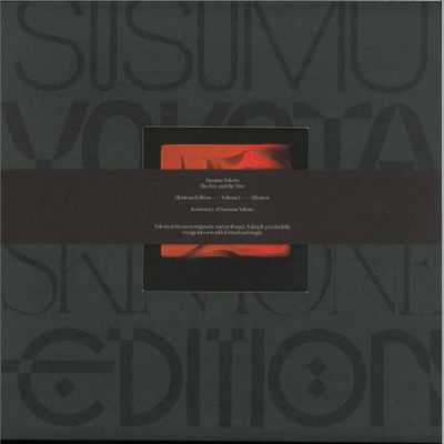 Susumu Yokota — The Boy And The Tree (Skintone Edition) LP 2x12" vinyl cover