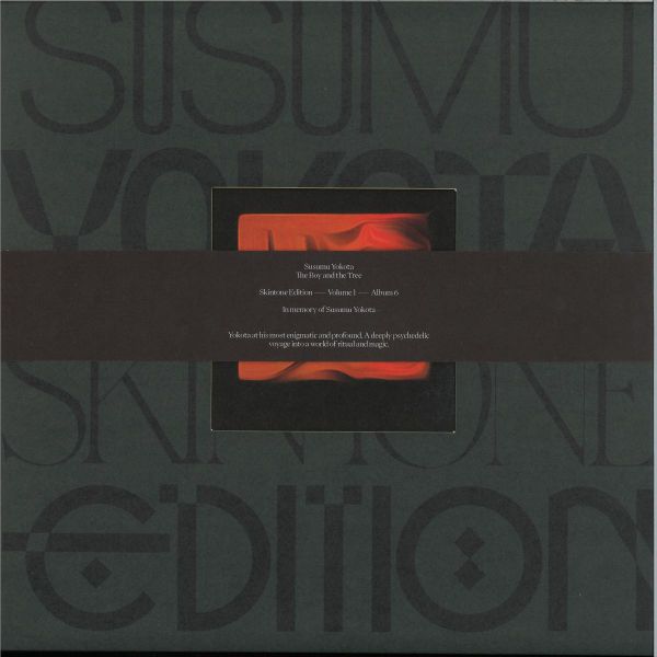 Susumu Yokota — The Boy And The Tree (Skintone Edition) LP 2x12" vinyl cover