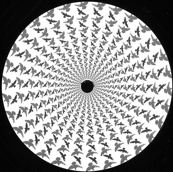 Rossko — Blossom EP vinyl cover