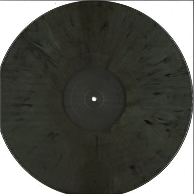 Ryan James Ford — Fish Flakes vinyl cover