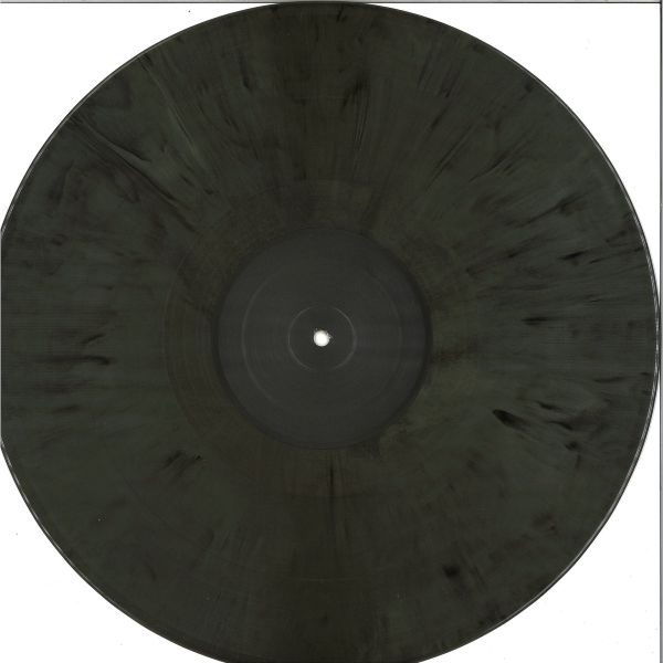 Ryan James Ford — Fish Flakes vinyl cover