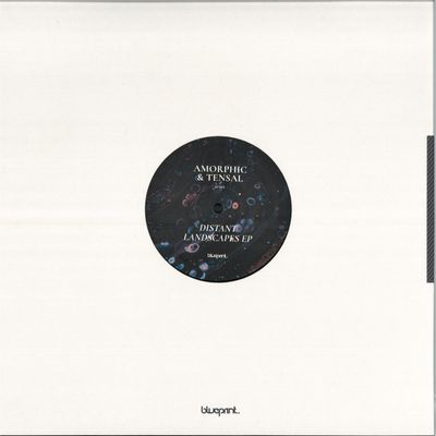 Amorphic, Tensal — DISTANT LANDSCAPES EP vinyl cover