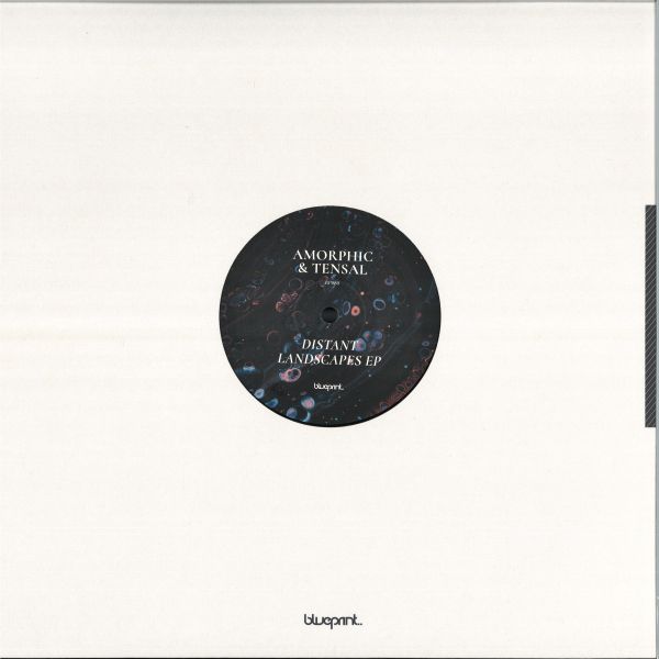 Amorphic, Tensal — DISTANT LANDSCAPES EP vinyl cover