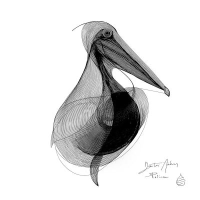 Dimitri Andreas — PELICAN LP 2x12" vinyl cover
