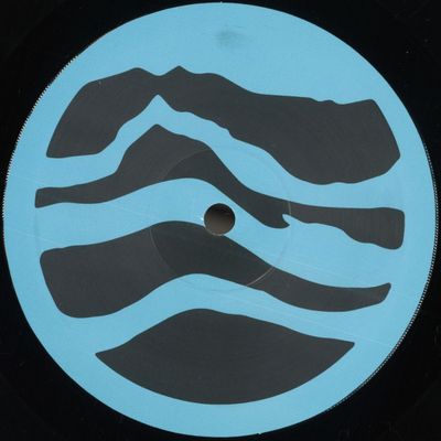 Per Hammar — Everybody Hz vinyl cover