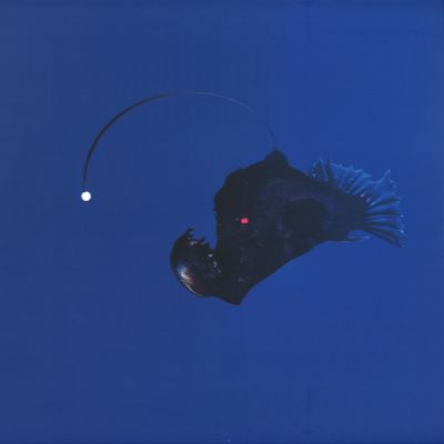 Michael Melchner — No Light Below vinyl cover