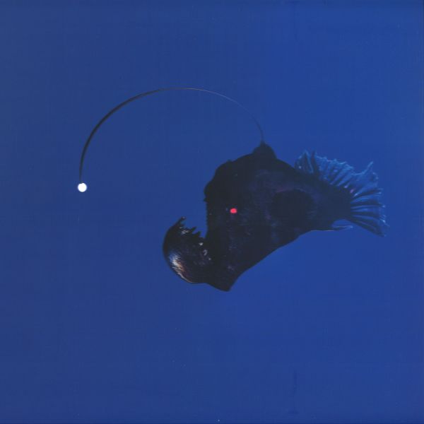 Michael Melchner — No Light Below vinyl cover