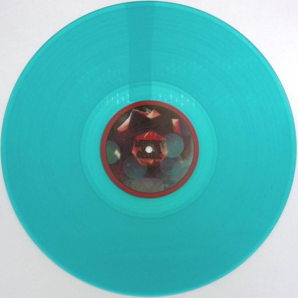 Dream Division — A Rose in the Garden of Winter LP vinyl cover